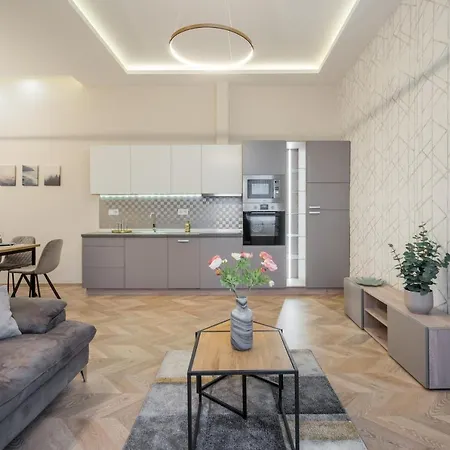Amora Homes 3 Bedrooms Bright Flat In The Heart Of The -free Parking Need Reservation * 布达佩斯